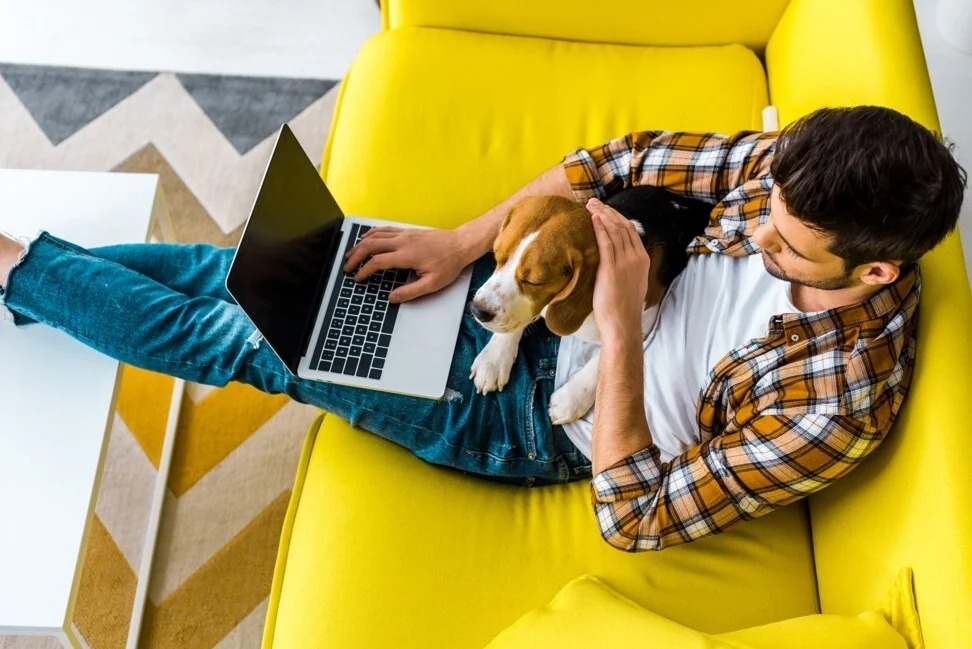 lười quan hệ tình dục ảnh 2 luoi quan he tinh duc anh 2