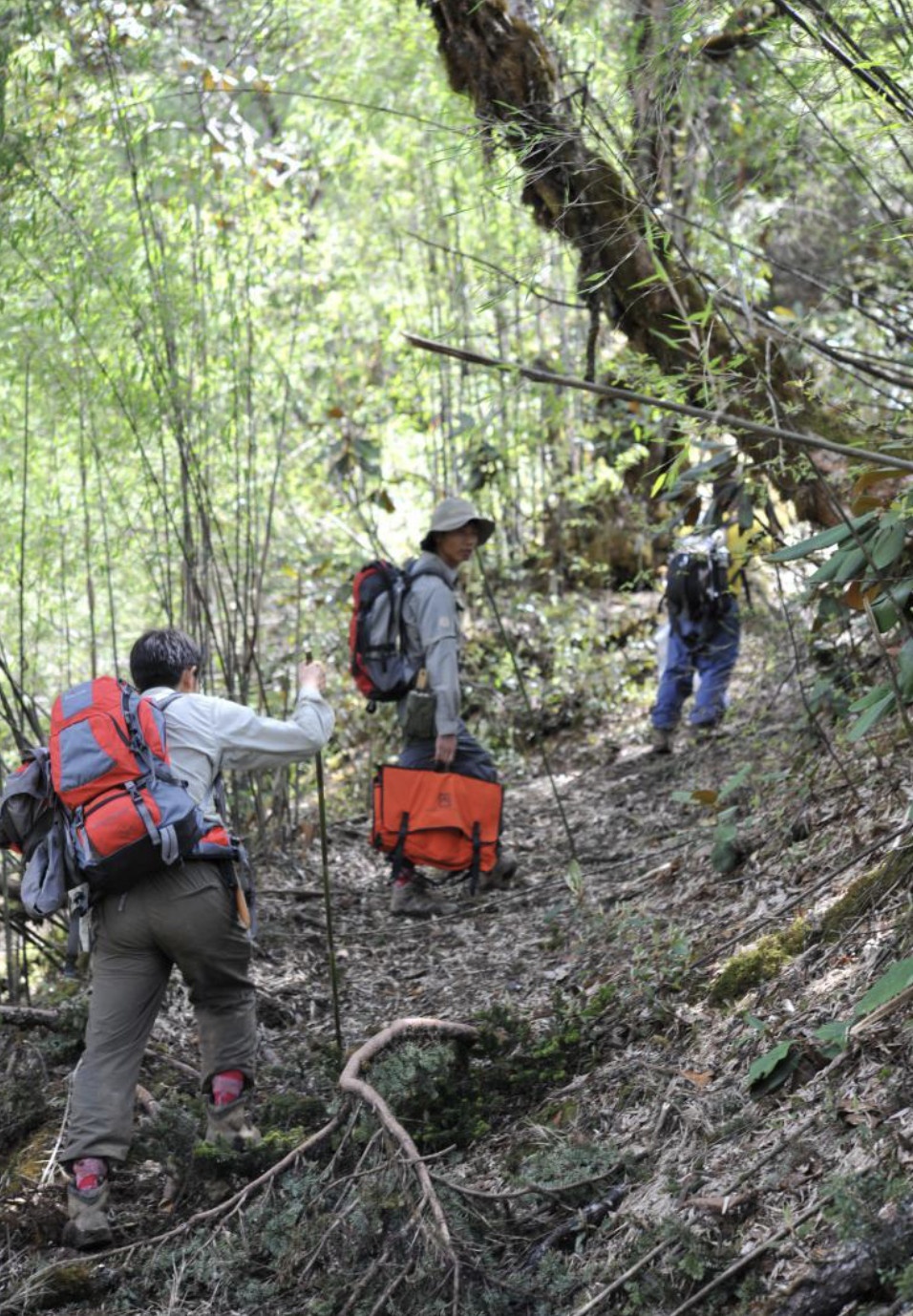 Nghe tim hat giong tren dinh nui cao anh 6