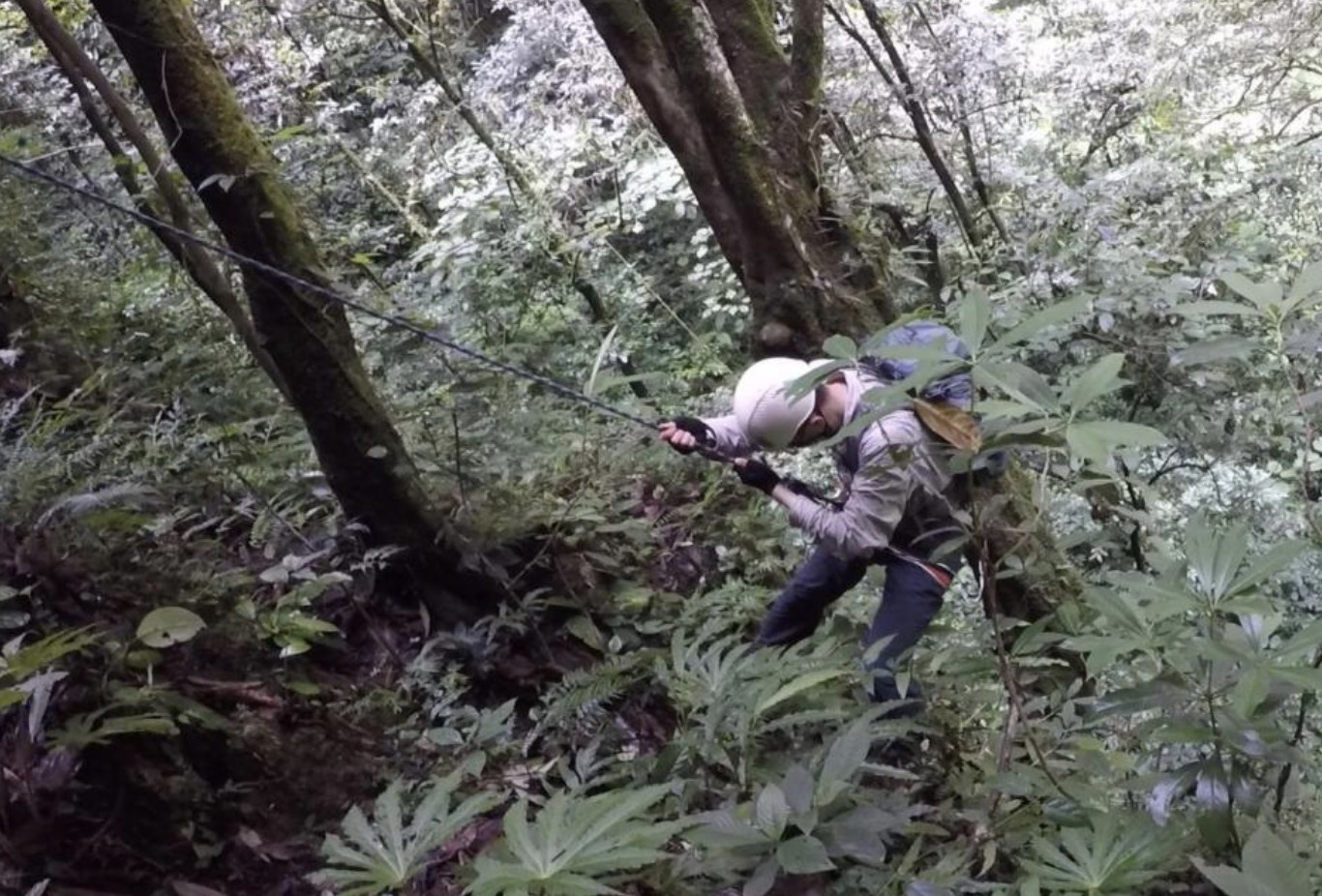 Nghe tim hat giong tren dinh nui cao anh 3