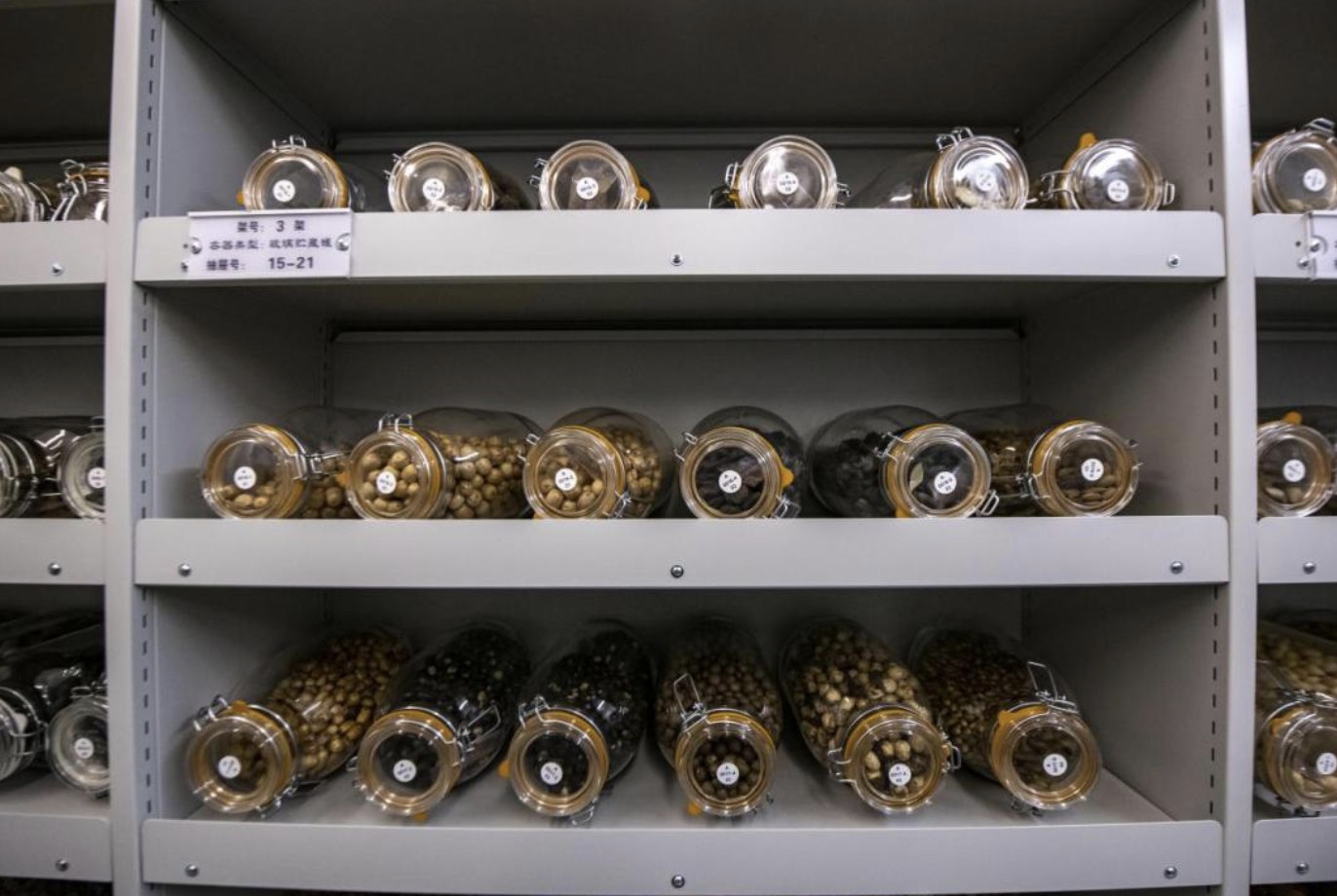 Nghe tim hat giong tren dinh nui cao anh 7