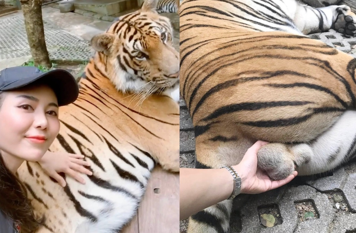 du khach bi nem da anh 1