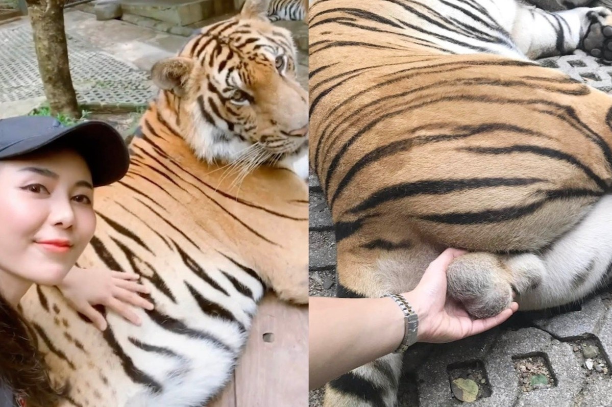 Du khach Thai Lan bi chi trich vi choc gheo ho hinh anh