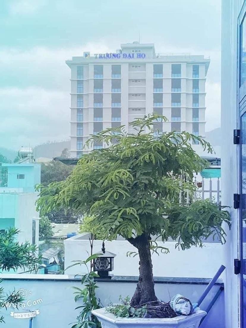 đại học đà nẵng ảnh 1 dai hoc da nang anh 1