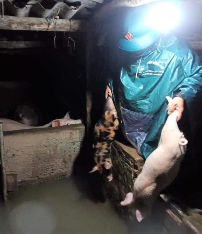 ngập lụt ở nghệ an ảnh 3 ngap lut o nghe an anh 3