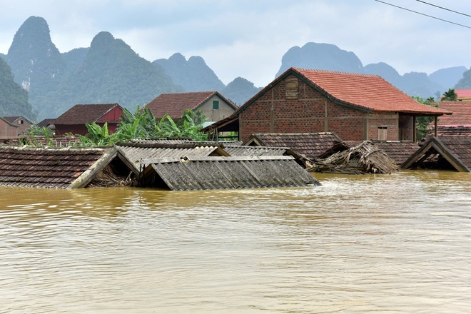 gà chết vì lũ ảnh 3 ga chet vi lu anh 3