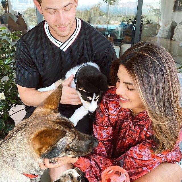 thu cưng của Priyanka Chopra ảnh 6 thu cung cua Priyanka Chopra anh 6