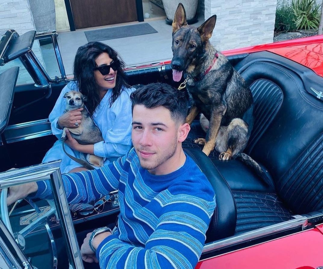 thu cưng của Priyanka Chopra ảnh 1 thu cung cua Priyanka Chopra anh 1