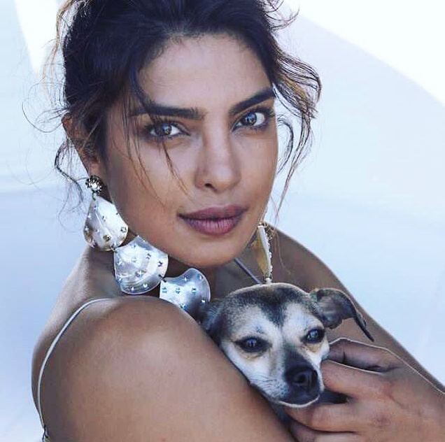 thu cưng của Priyanka Chopra ảnh 5 thu cung cua Priyanka Chopra anh 5