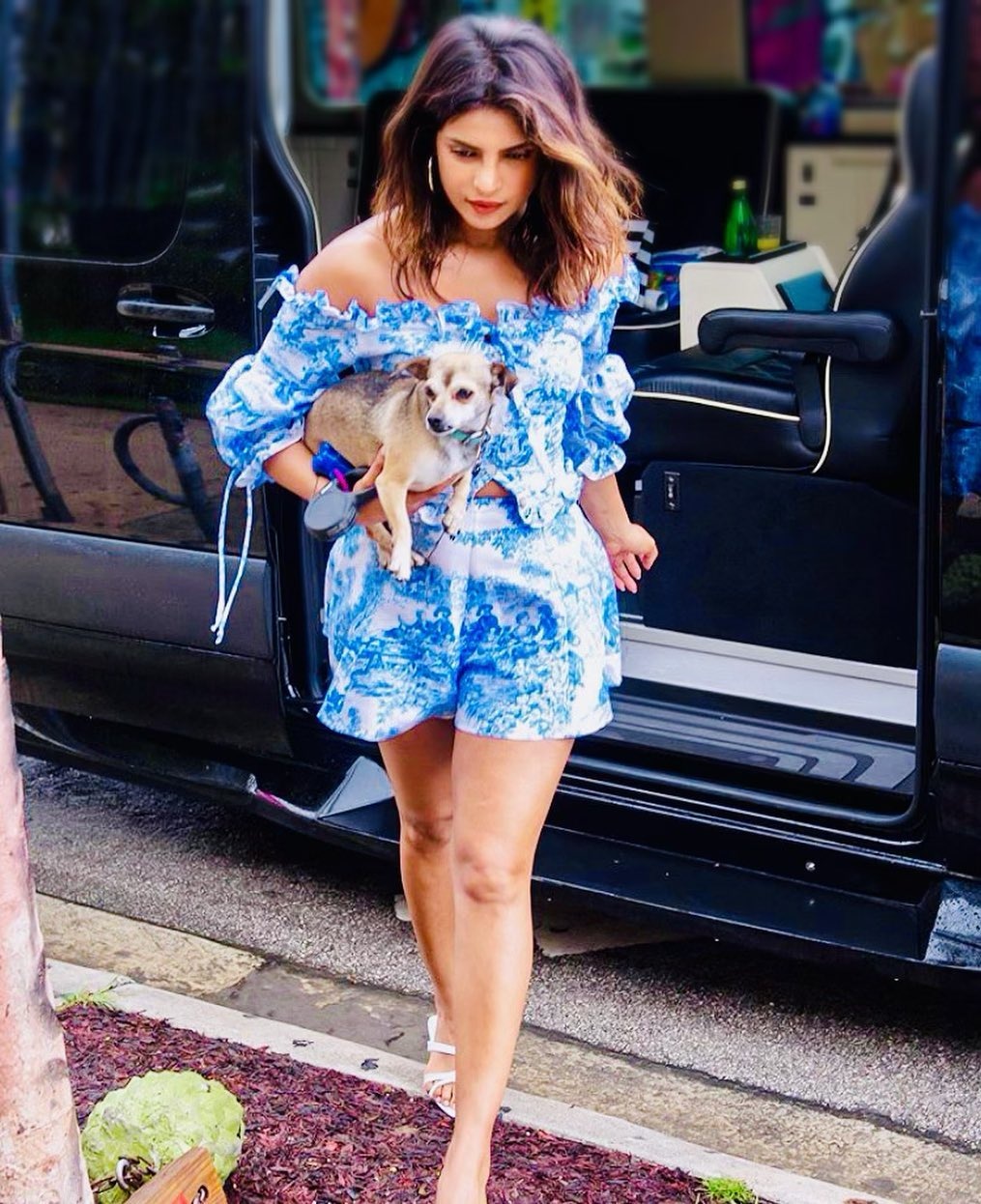 thu cưng của Priyanka Chopra ảnh 3 thu cung cua Priyanka Chopra anh 3