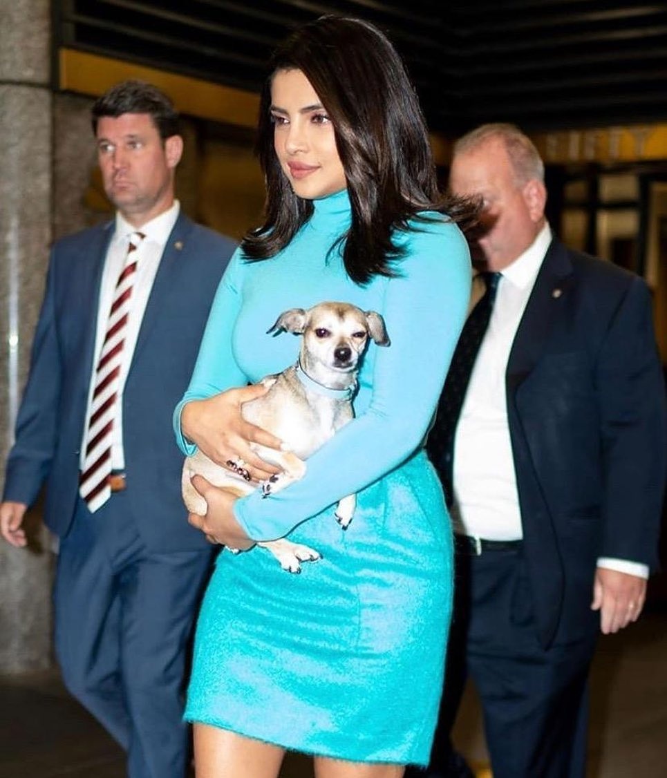 thu cưng của Priyanka Chopra ảnh 4 thu cung cua Priyanka Chopra anh 4