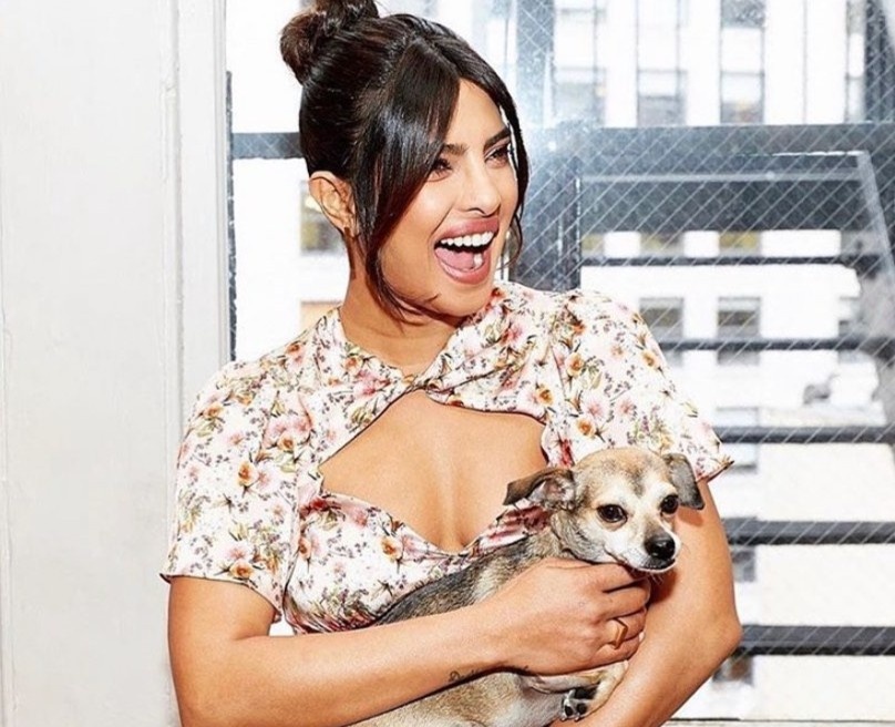thu cưng của Priyanka Chopra ảnh 2 thu cung cua Priyanka Chopra anh 2