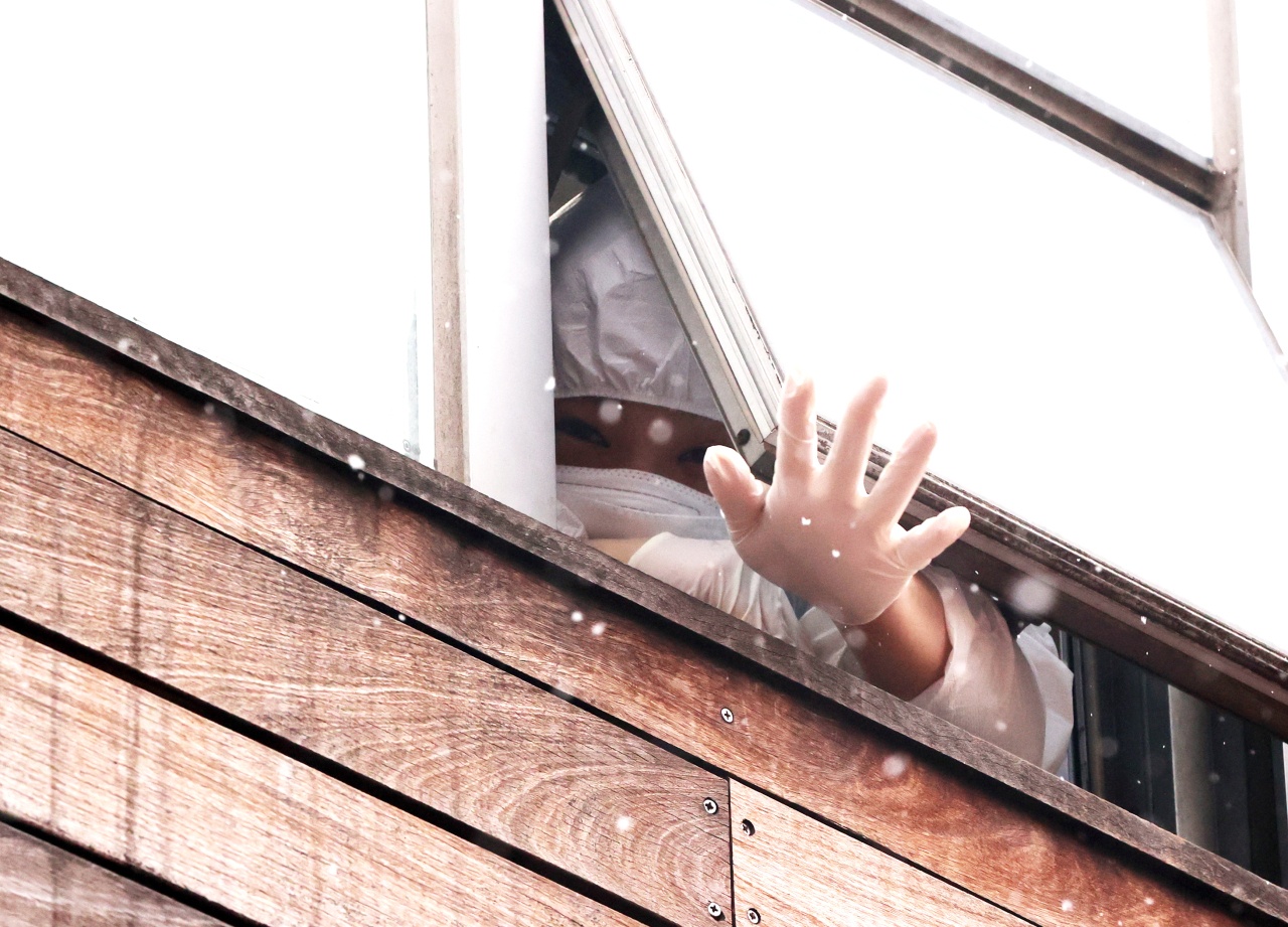 vien duong lao han quoc anh 1