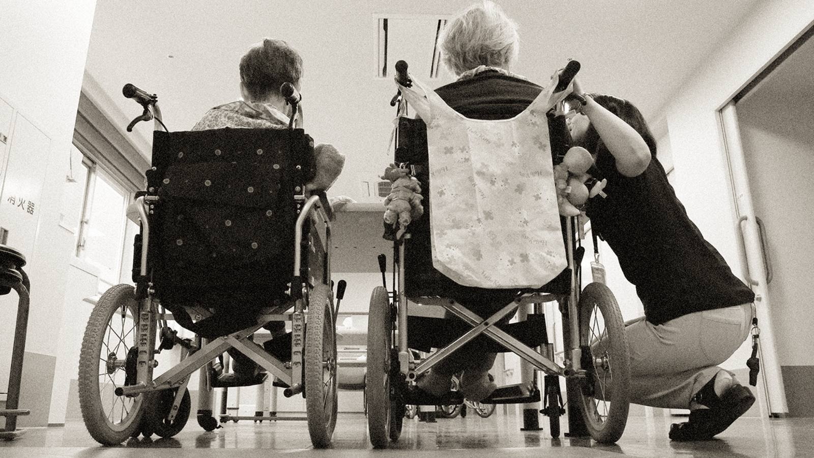 vien duong lao han quoc anh 2