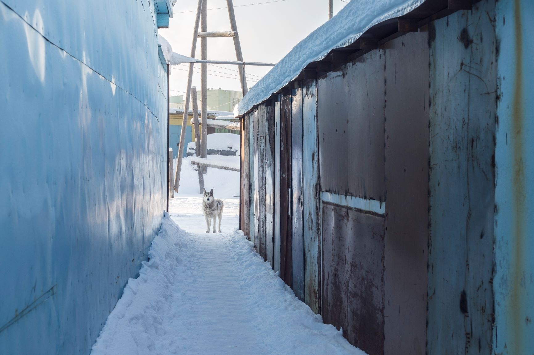 thi tran co 9 thang mua dong o nga anh 10