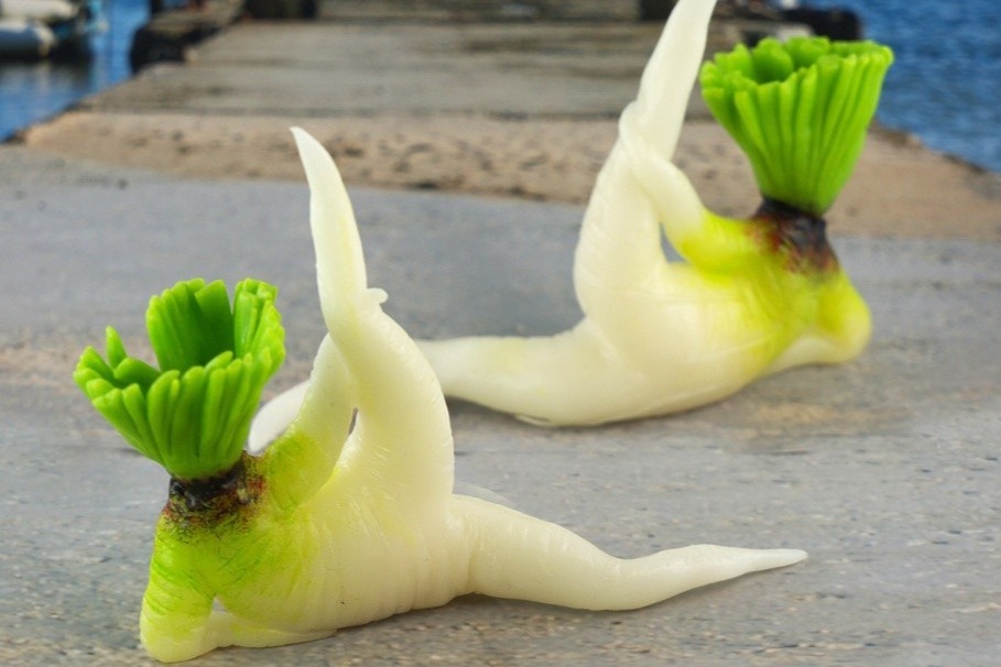 Cu cai trang 'tap the duc' dat hang tai Nhat Ban hinh anh