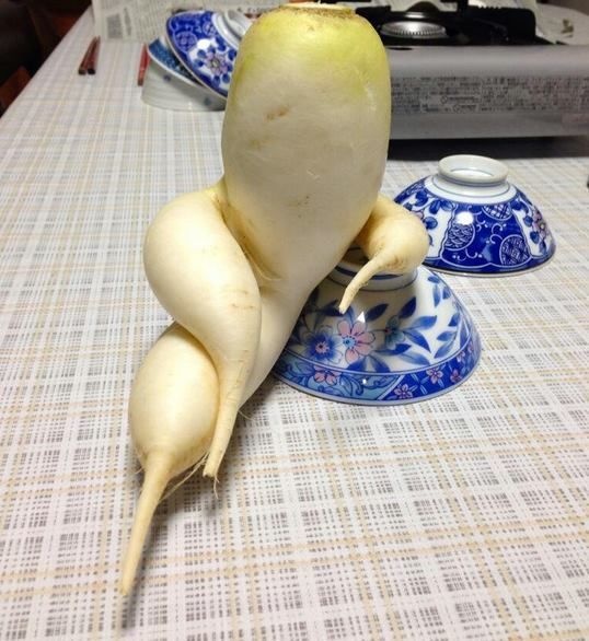 củ cải trắng hình dạng đặc biệt ảnh 4 cu cai trang hinh dang dac biet anh 4