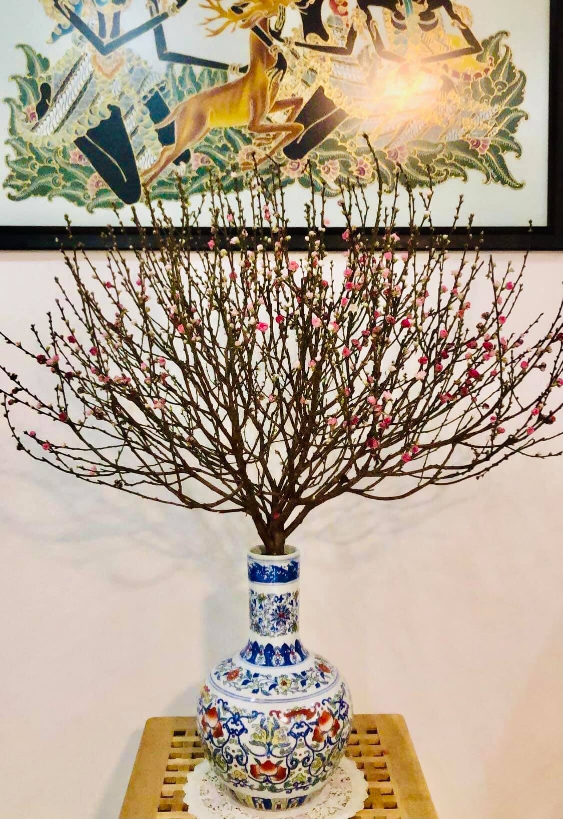 người việt ở nước ngoài đón tết ảnh 8 nguoi viet o nuoc ngoai don tet anh 8