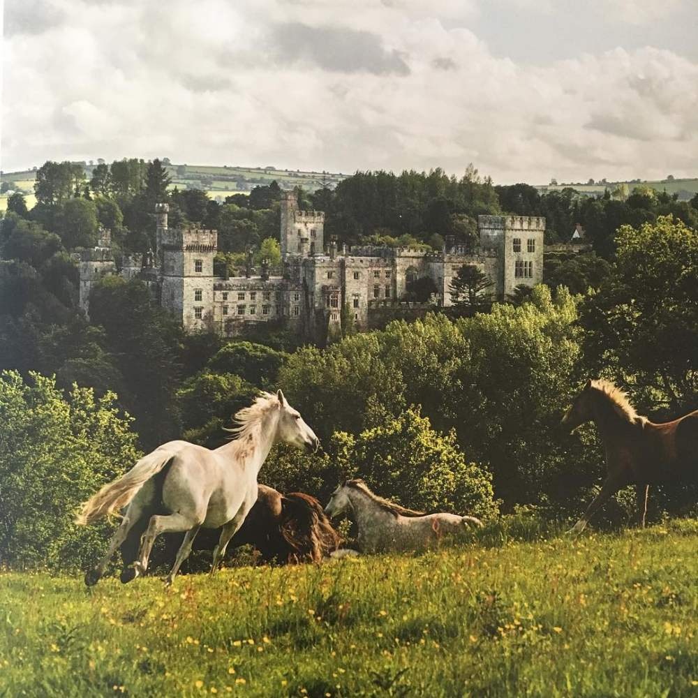 cung dien hoang gia cho thue phong anh 3