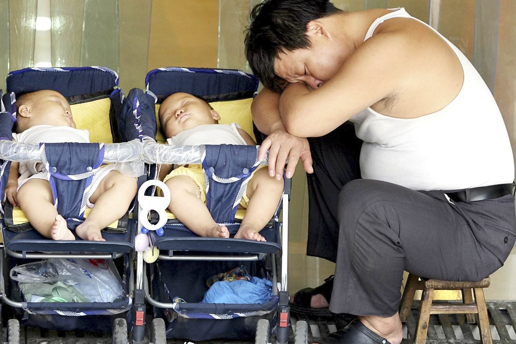 Dan ong nghi thai san va nhung de xuat gay tranh cai o Trung Quoc hinh anh