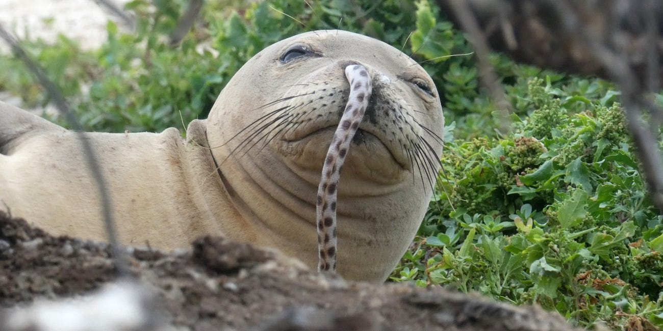 bi phat vi cham vao hai cau quy hiem anh 1