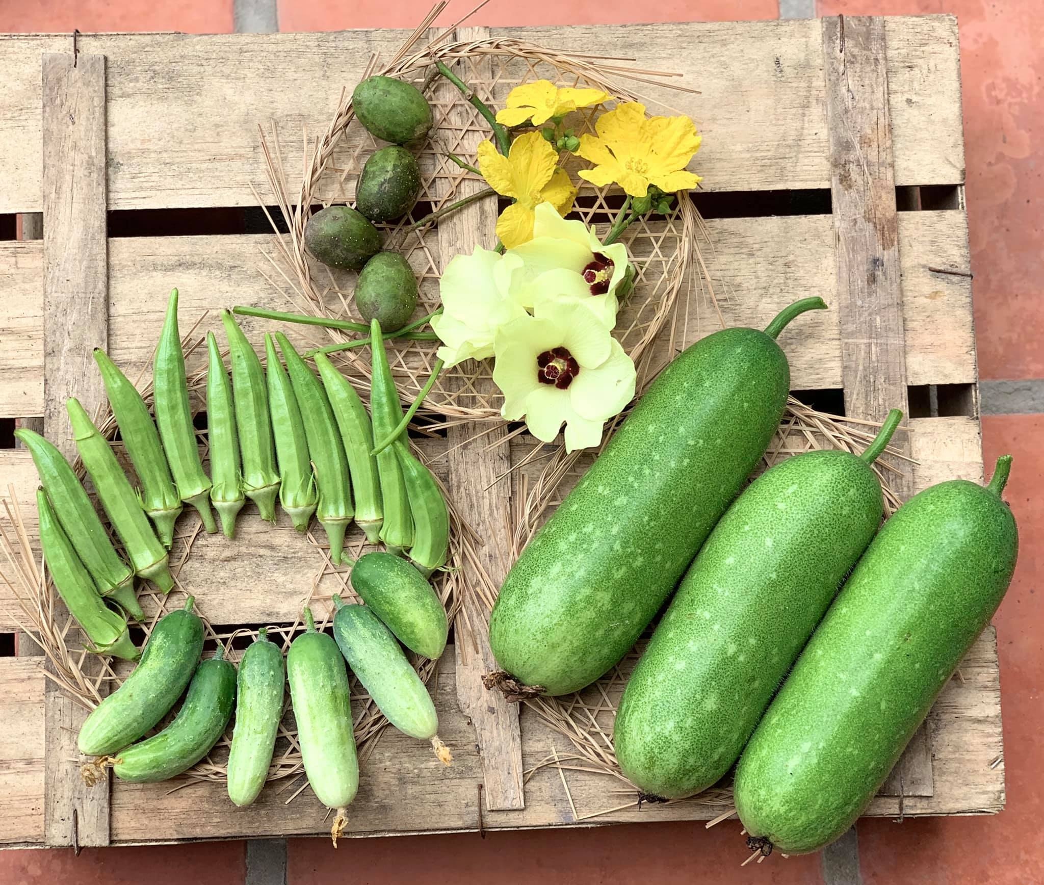 nu giam doc bo pho ve que anh 4