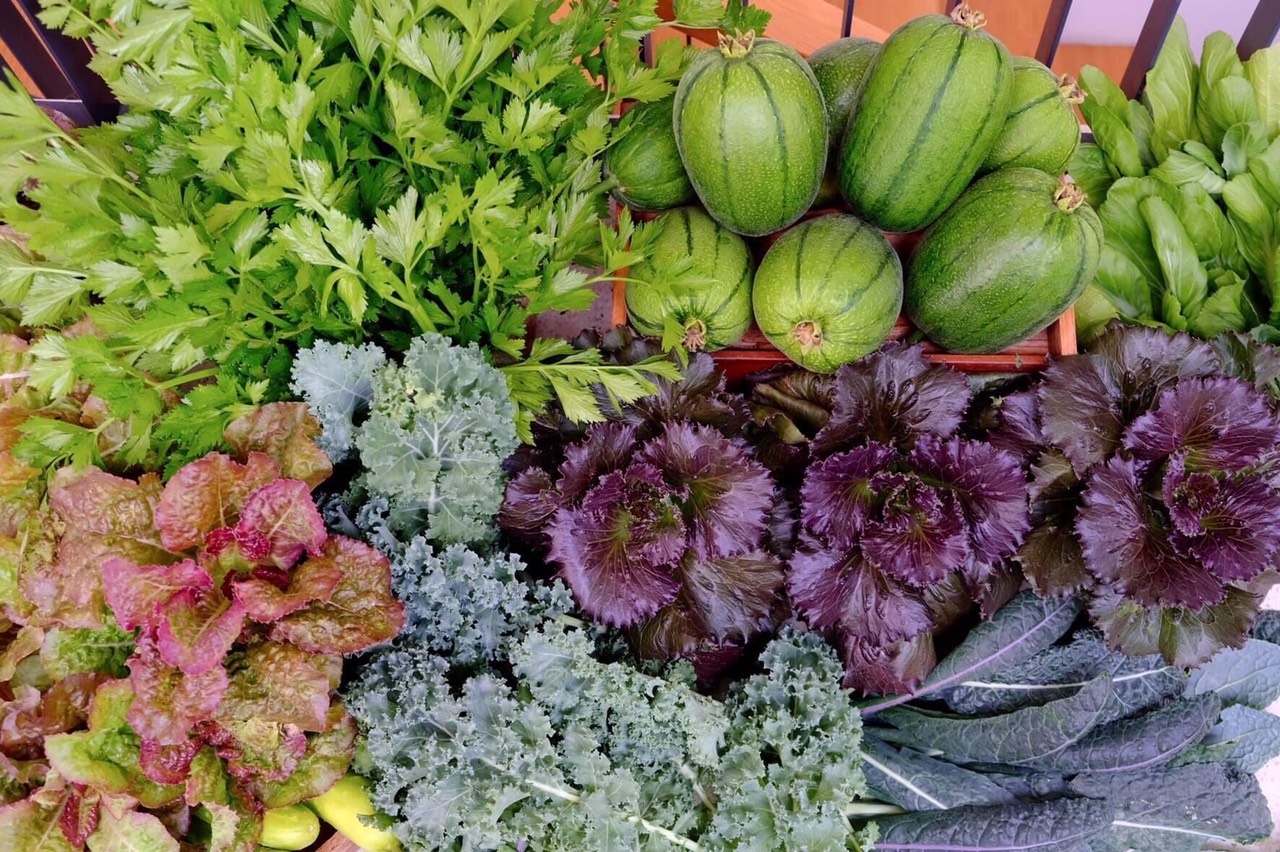 khu vườn của kiến trúc sư đàn nẵng ảnh 7 khu vuon cua kien truc su dan nang anh 7