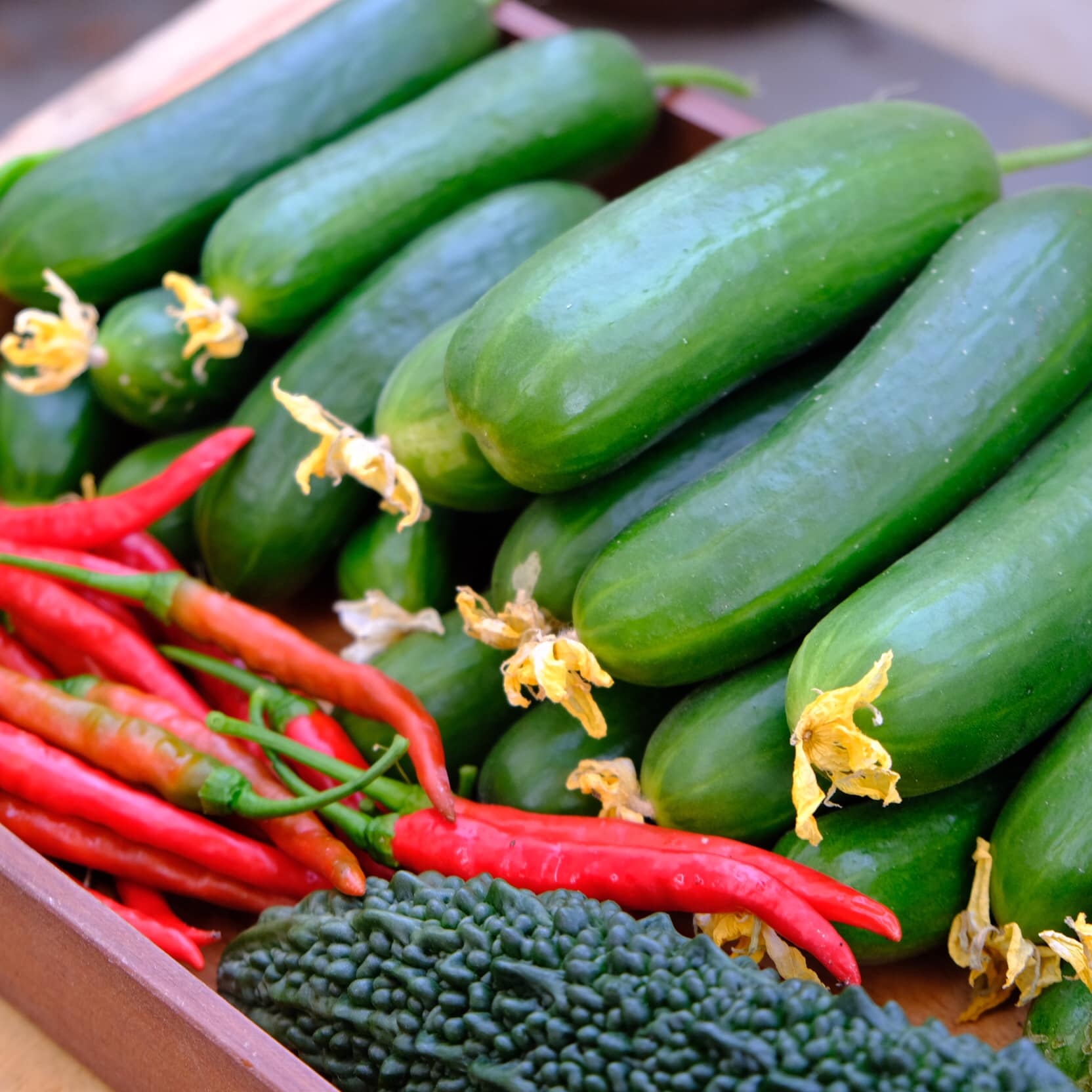 khu vườn của kiến trúc sư đàn nẵng ảnh 10 khu vuon cua kien truc su dan nang anh 10