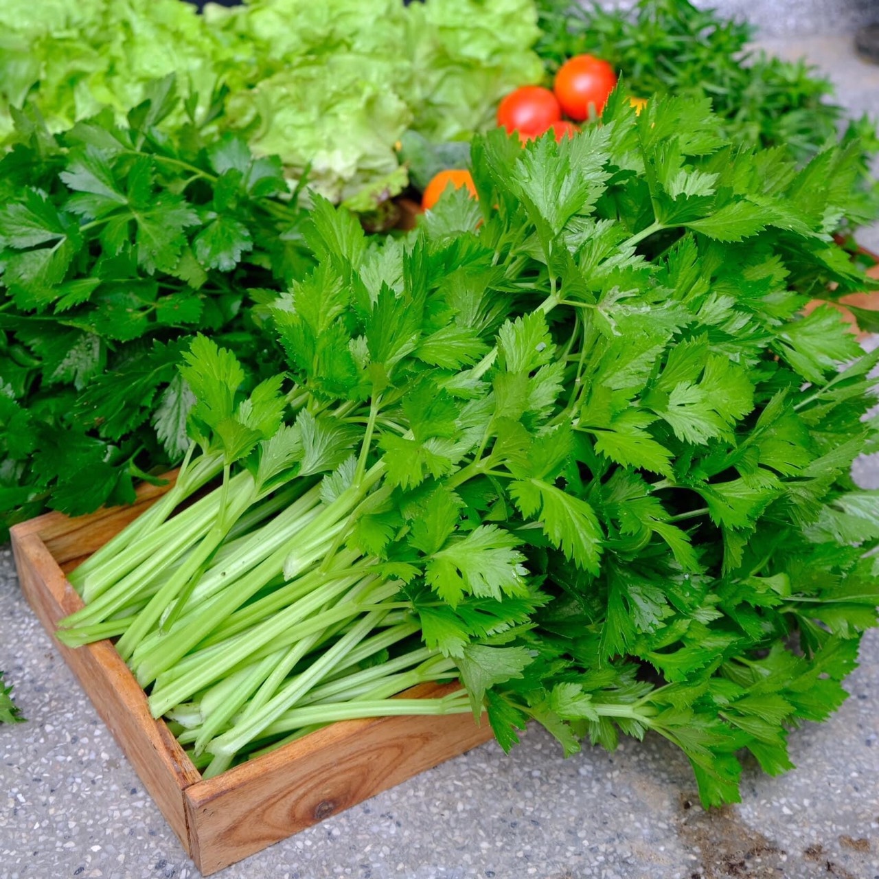 khu vườn của kiến trúc sư đàn nẵng ảnh 8 khu vuon cua kien truc su dan nang anh 8