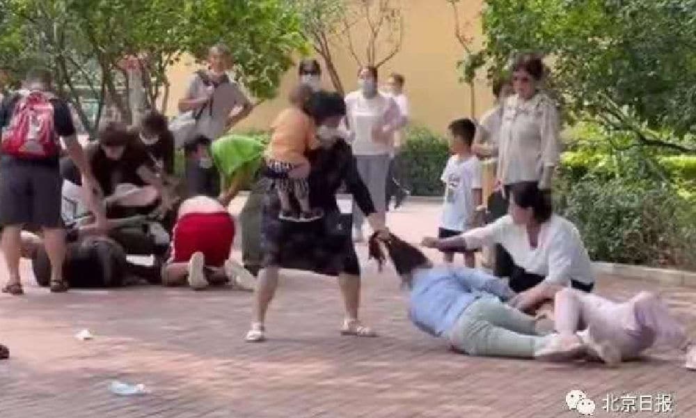 động vật bắt chước du khách đánh nhau ảnh 1 dong vat bat chuoc du khach danh nhau anh 1