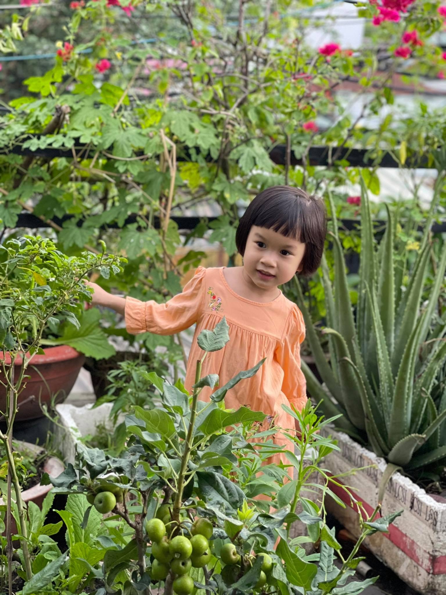 cay tao cach ly quan 12 anh 3