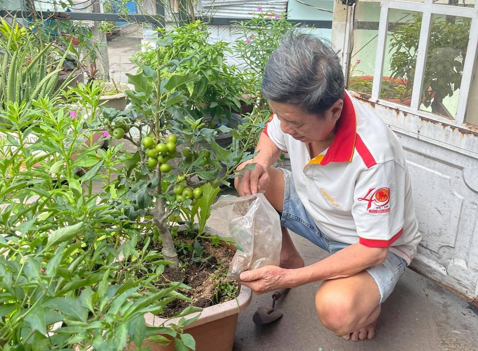 cay tao cach ly quan 12 anh 1