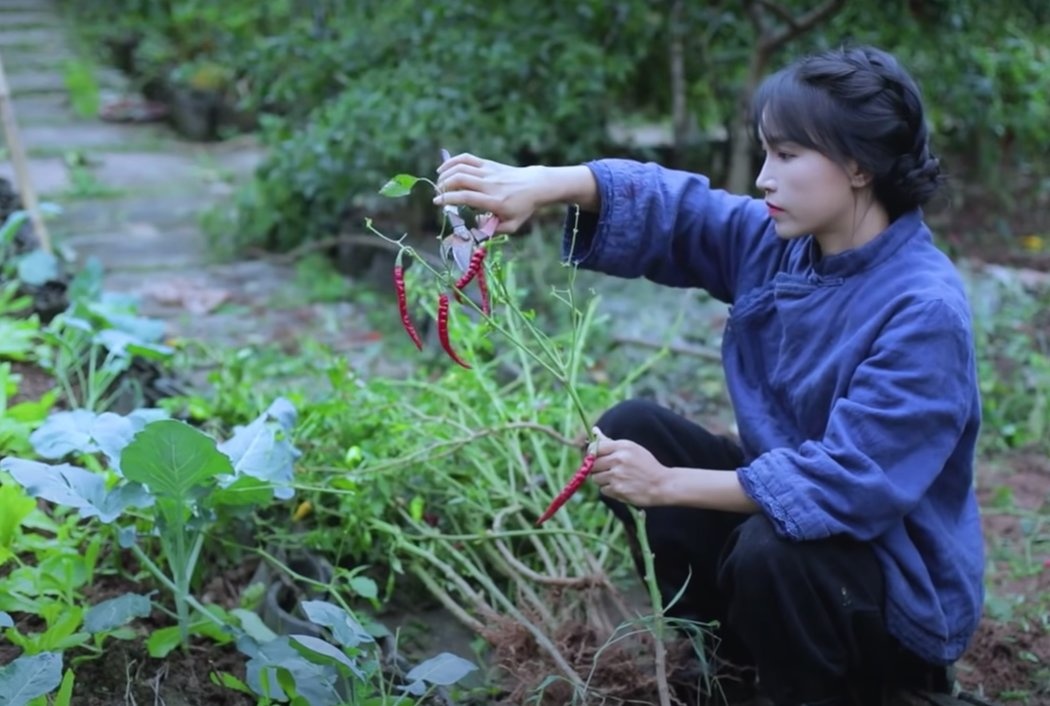 ly tu that ngung lam video anh 3