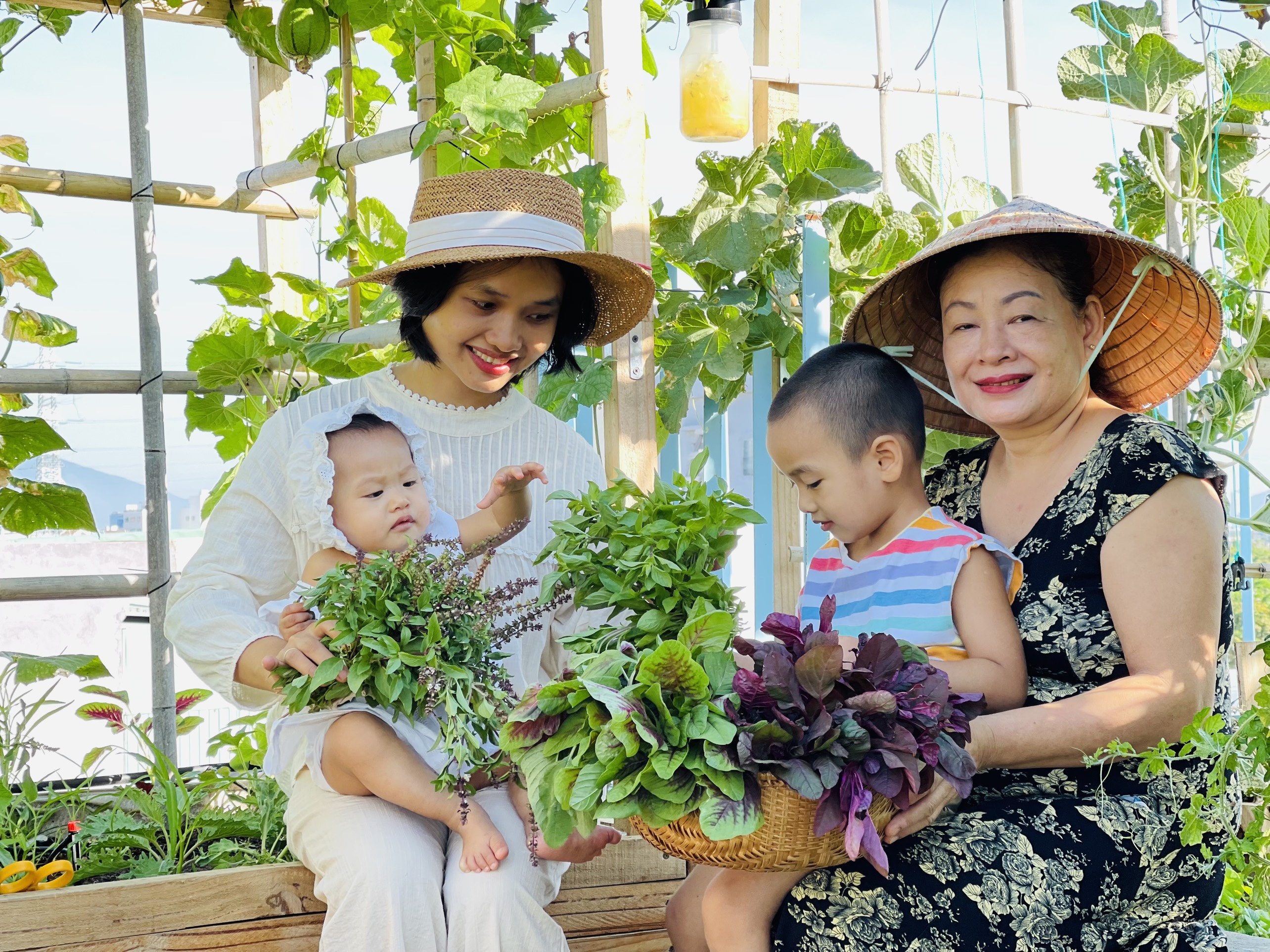 trong rau tren san thuong anh 1
