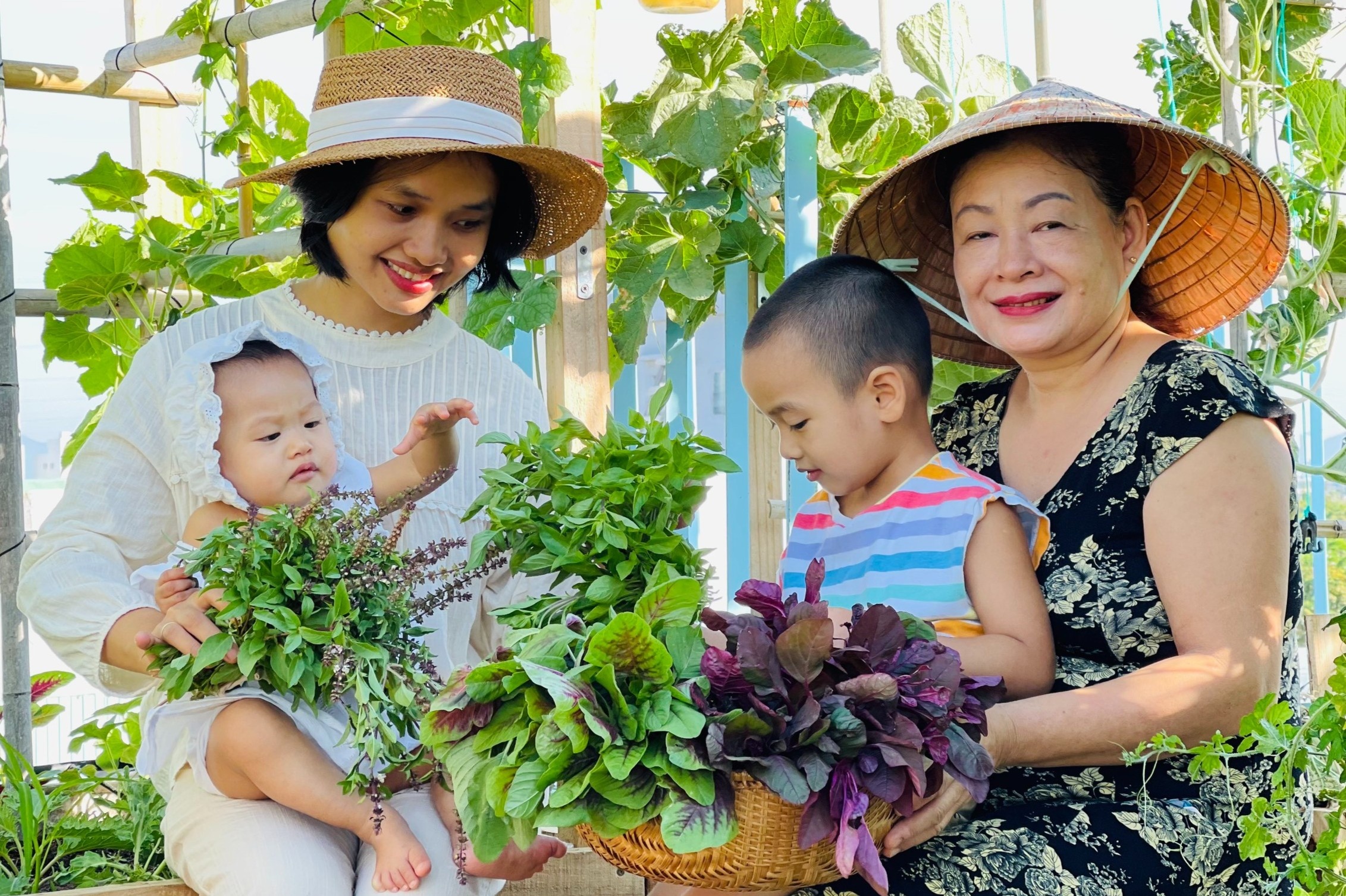 Song khoe trong dich nho trong gan 20 loai rau, cu, qua o san thuong hinh anh