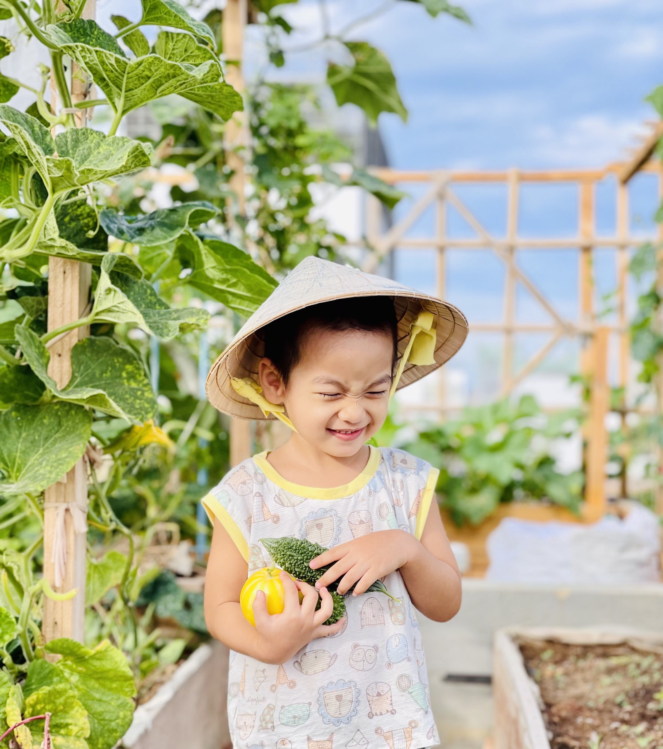 trồng rau trên sân thượng ảnh 7 trong rau tren san thuong anh 7