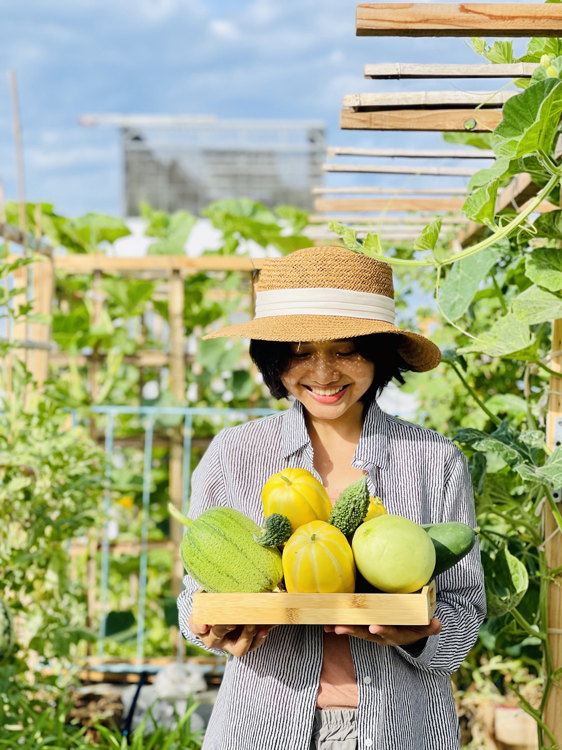 trồng rau trên sân thượng ảnh 8 trong rau tren san thuong anh 8