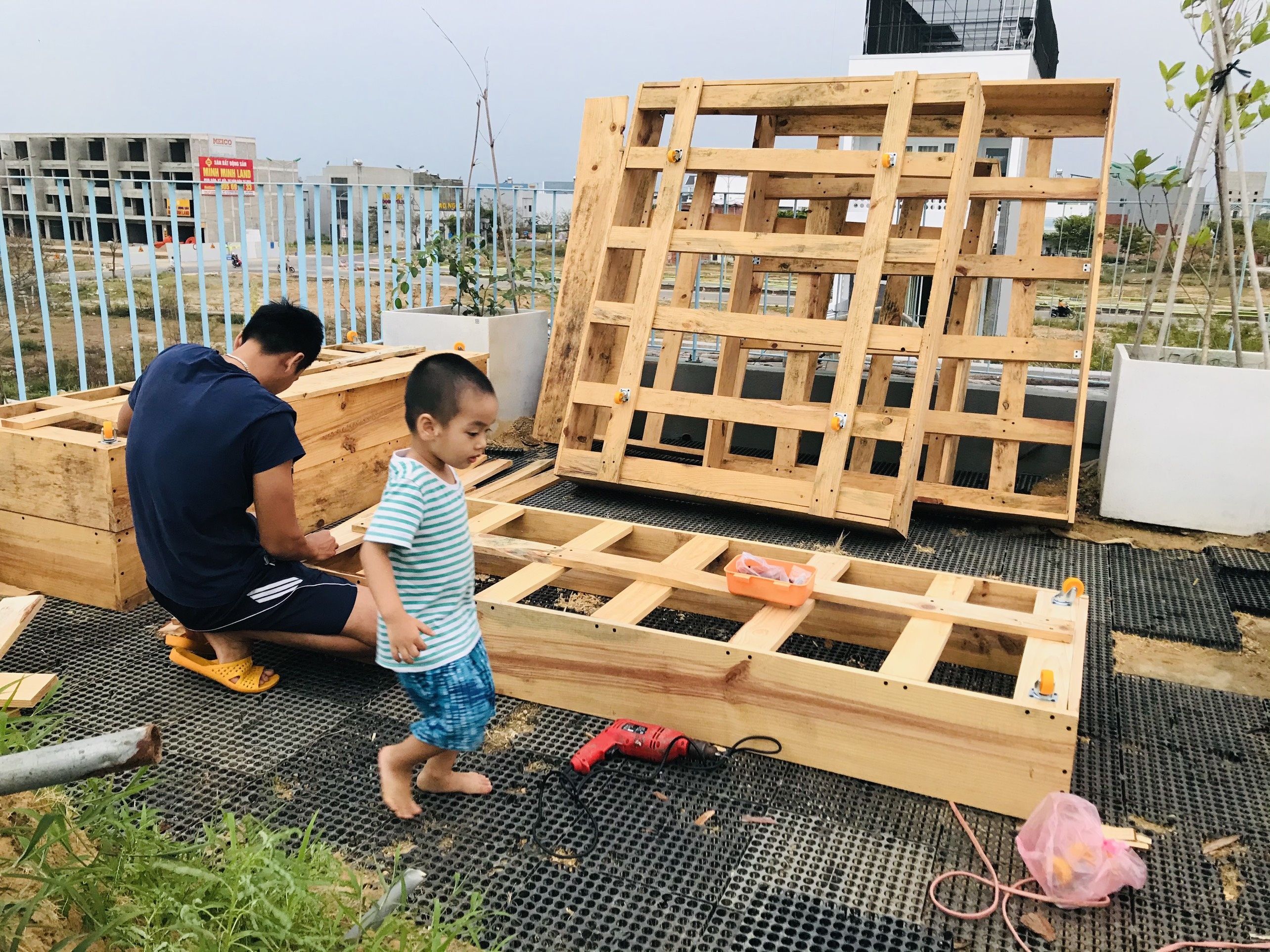 trồng rau trên sân thượng ảnh 9 trong rau tren san thuong anh 9