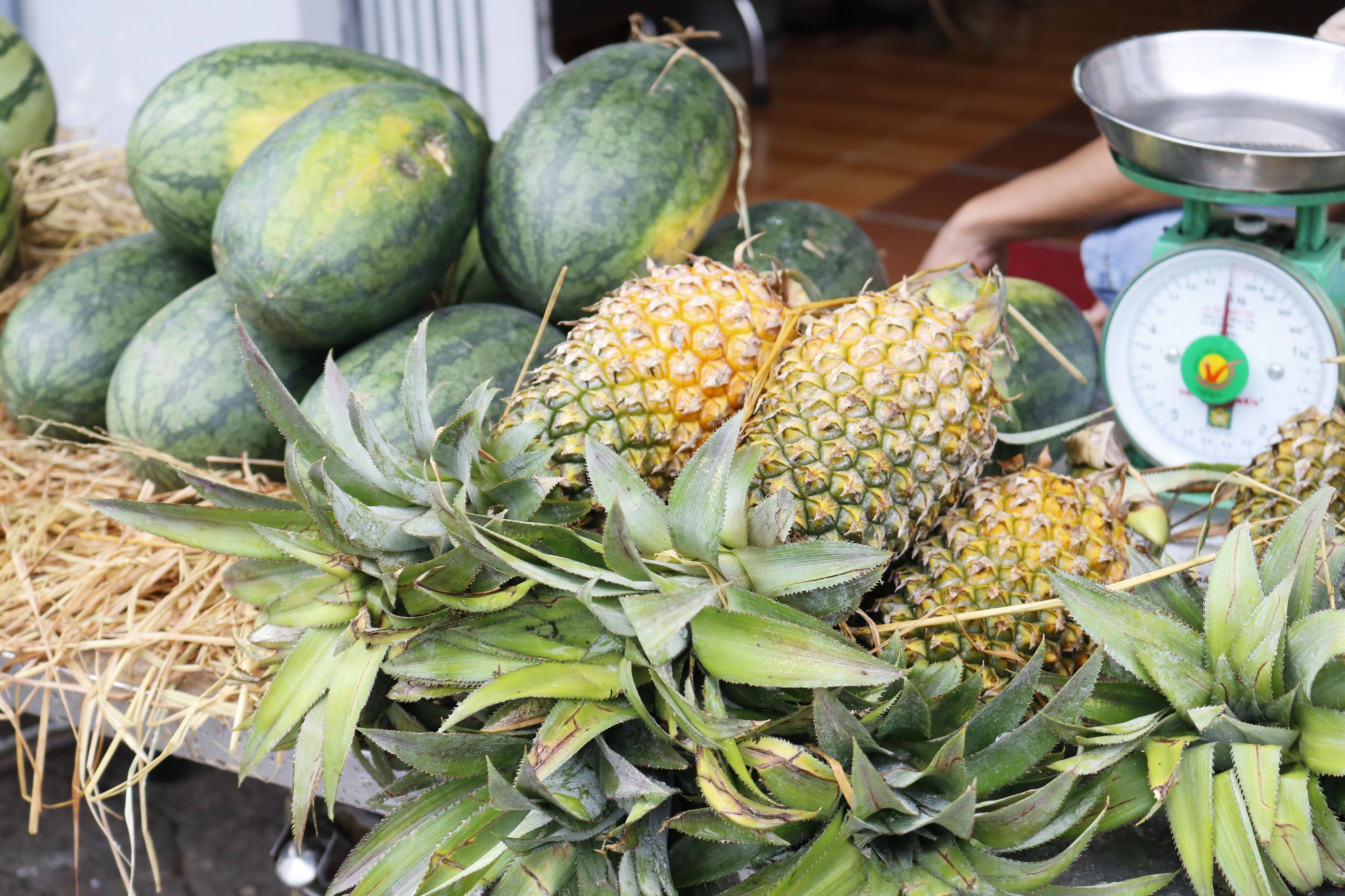 quan nhau tphcm ban rau cu anh 3