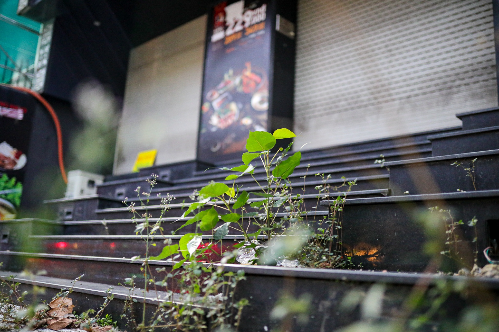 hang quan tren duong phan xich long anh 2