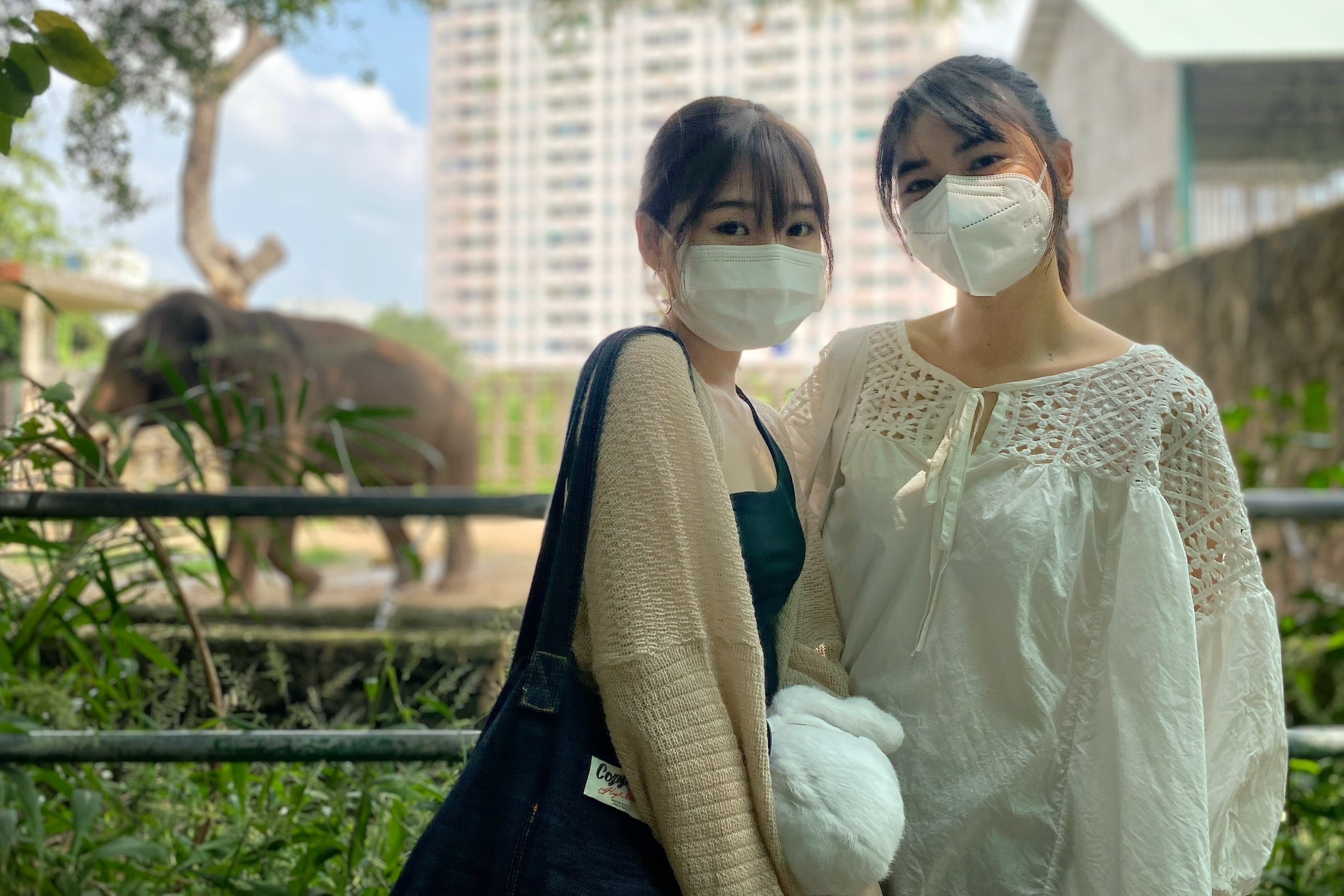 thao cam vien mo cua lai anh 2