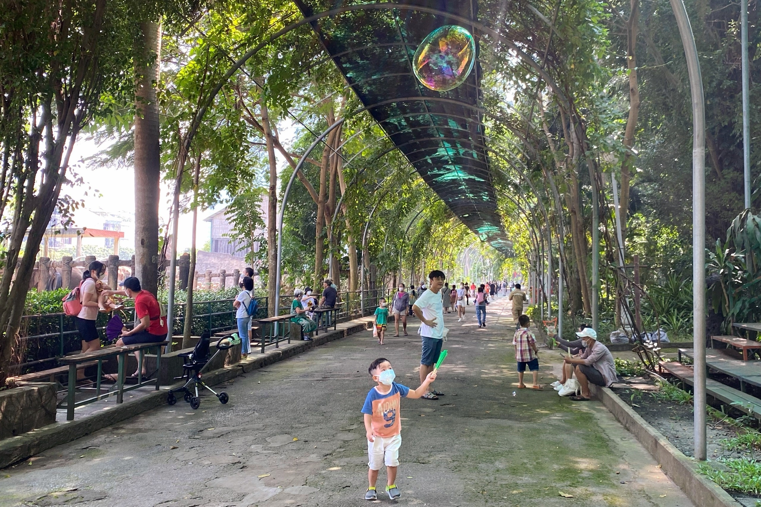 thao cam vien mo cua lai anh 3