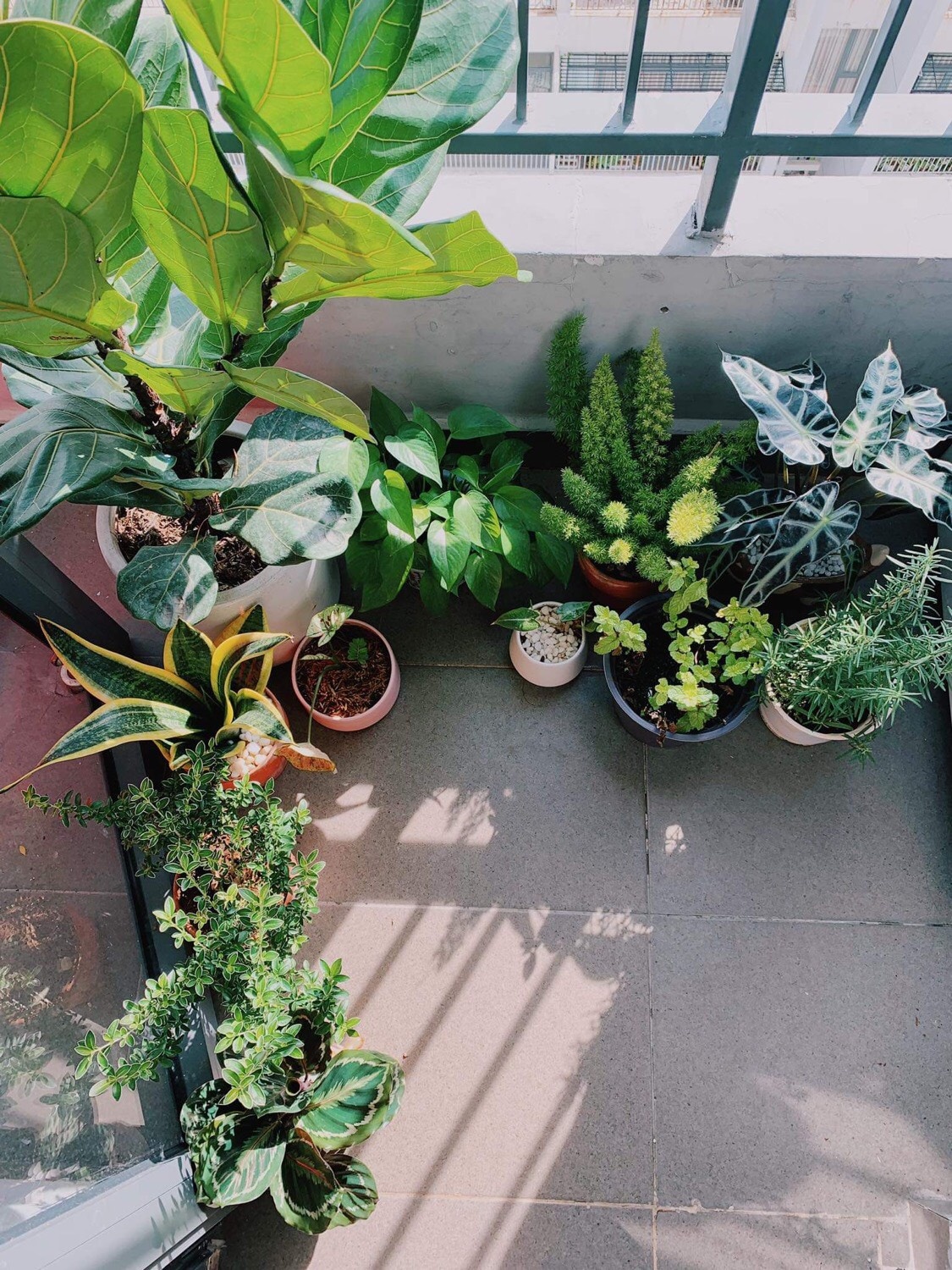 những người trẻ sống một mình ảnh 2 nhung nguoi tre song mot minh anh 2