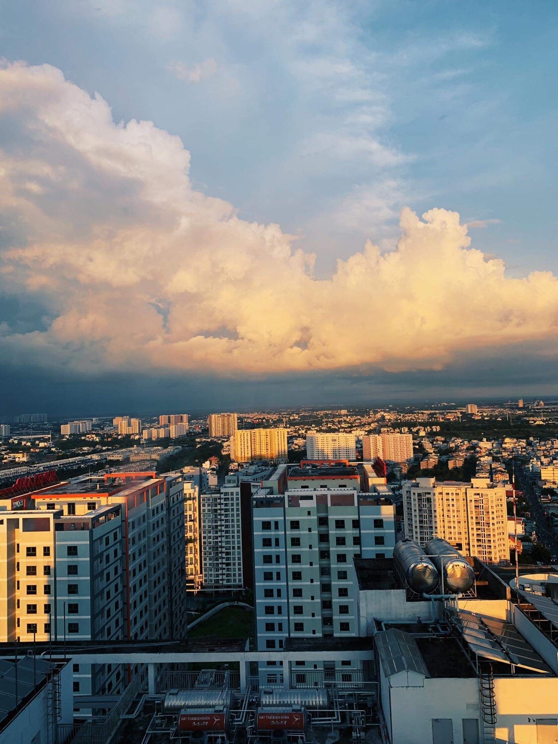 những người trẻ sống một mình ảnh 4 nhung nguoi tre song mot minh anh 4