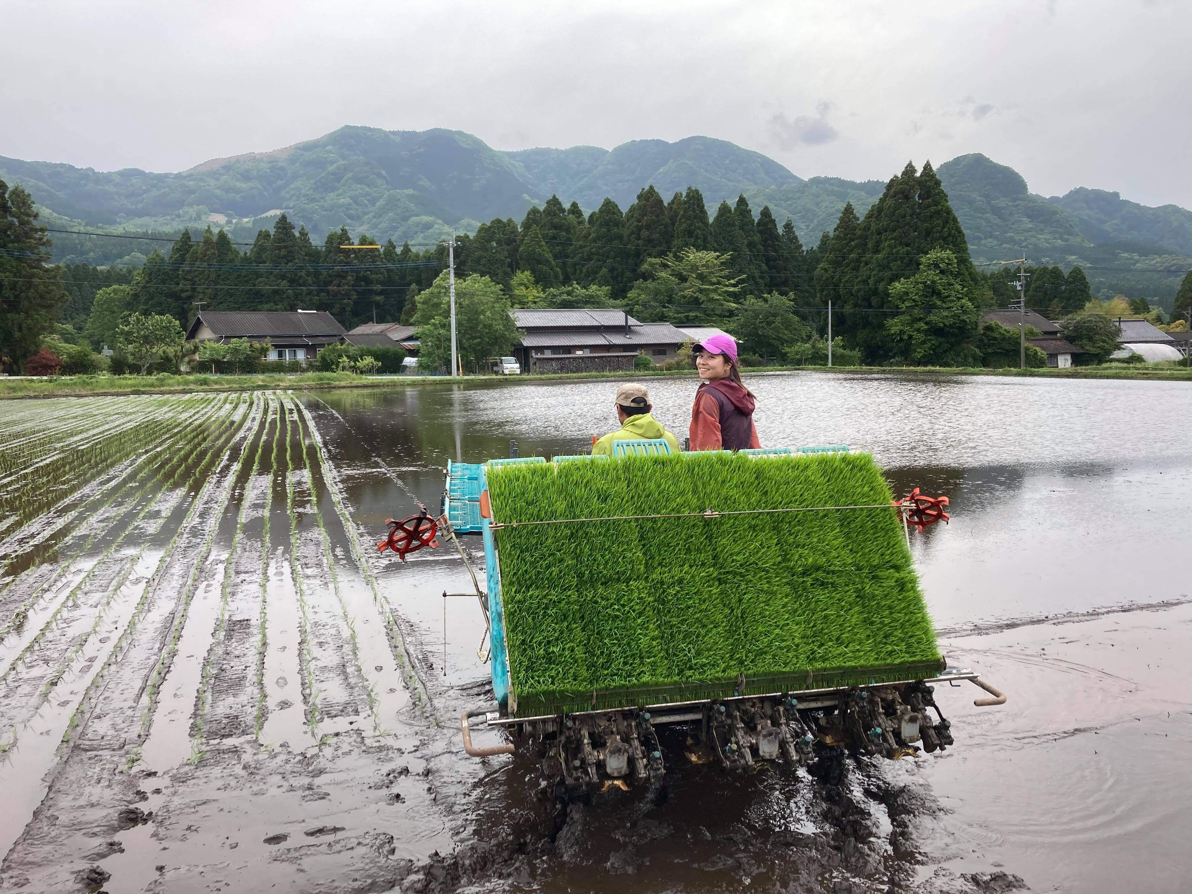 nguoi nhat bo pho ve que anh 1