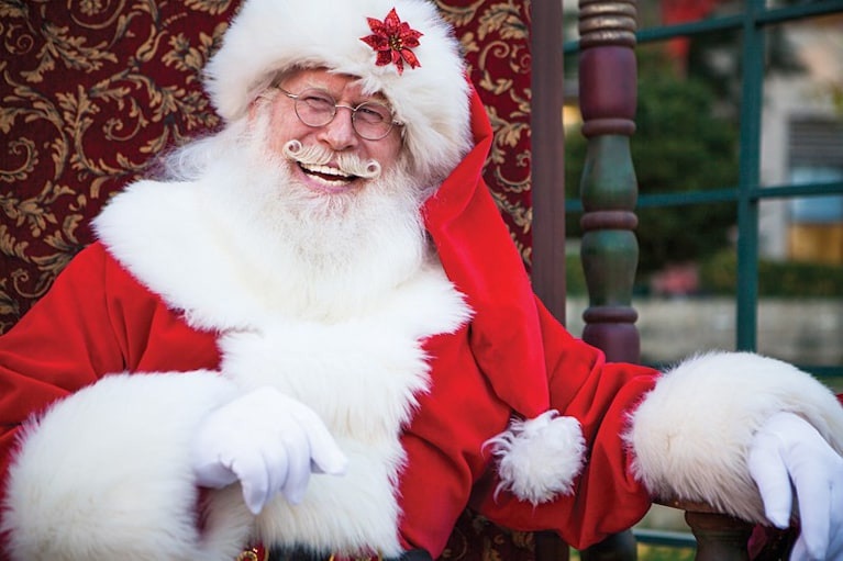 thieu hut ong gia noel o my anh 4