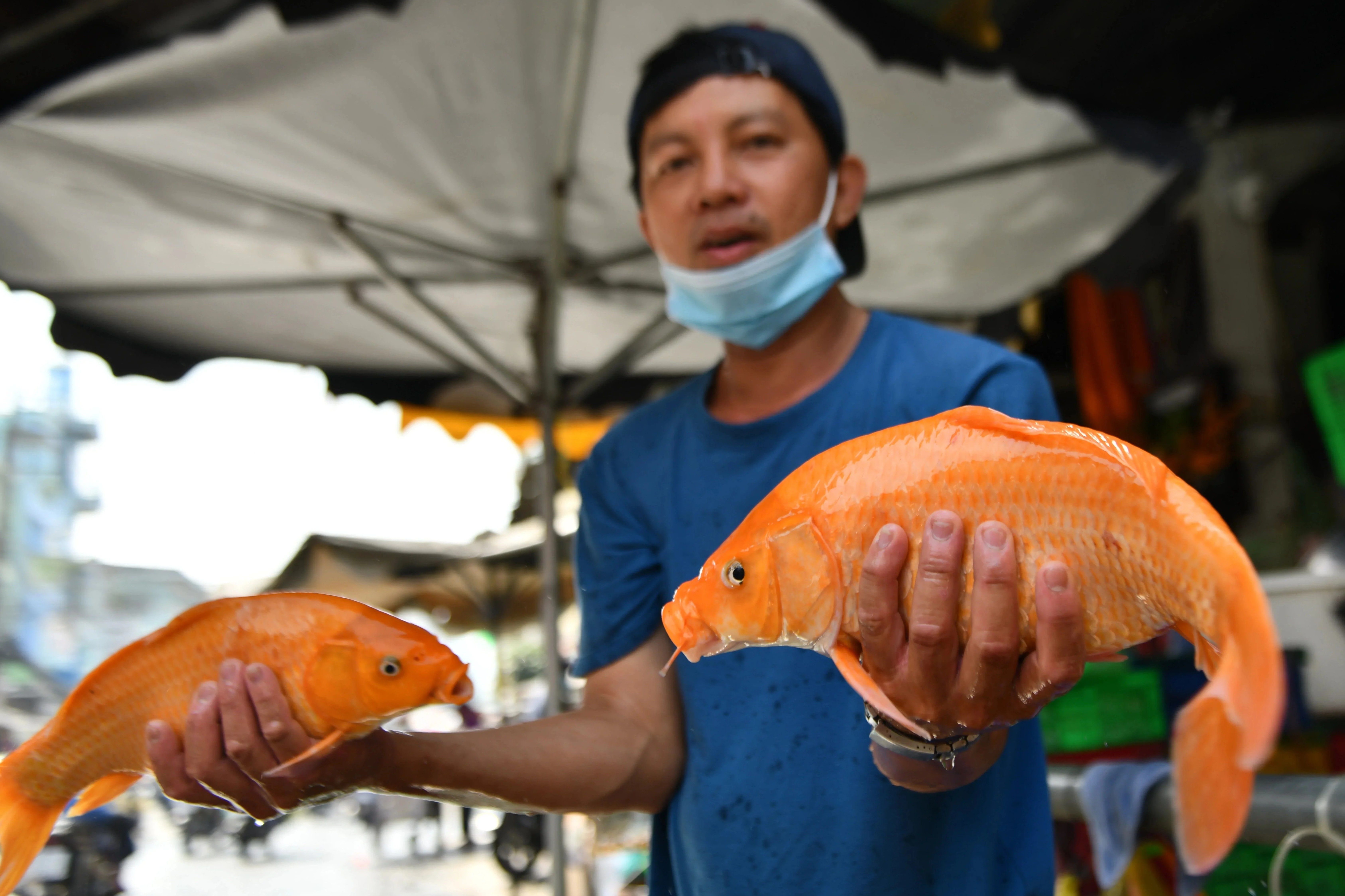 Cach chon va tha ca chep ngay 23 thang Chap hinh anh