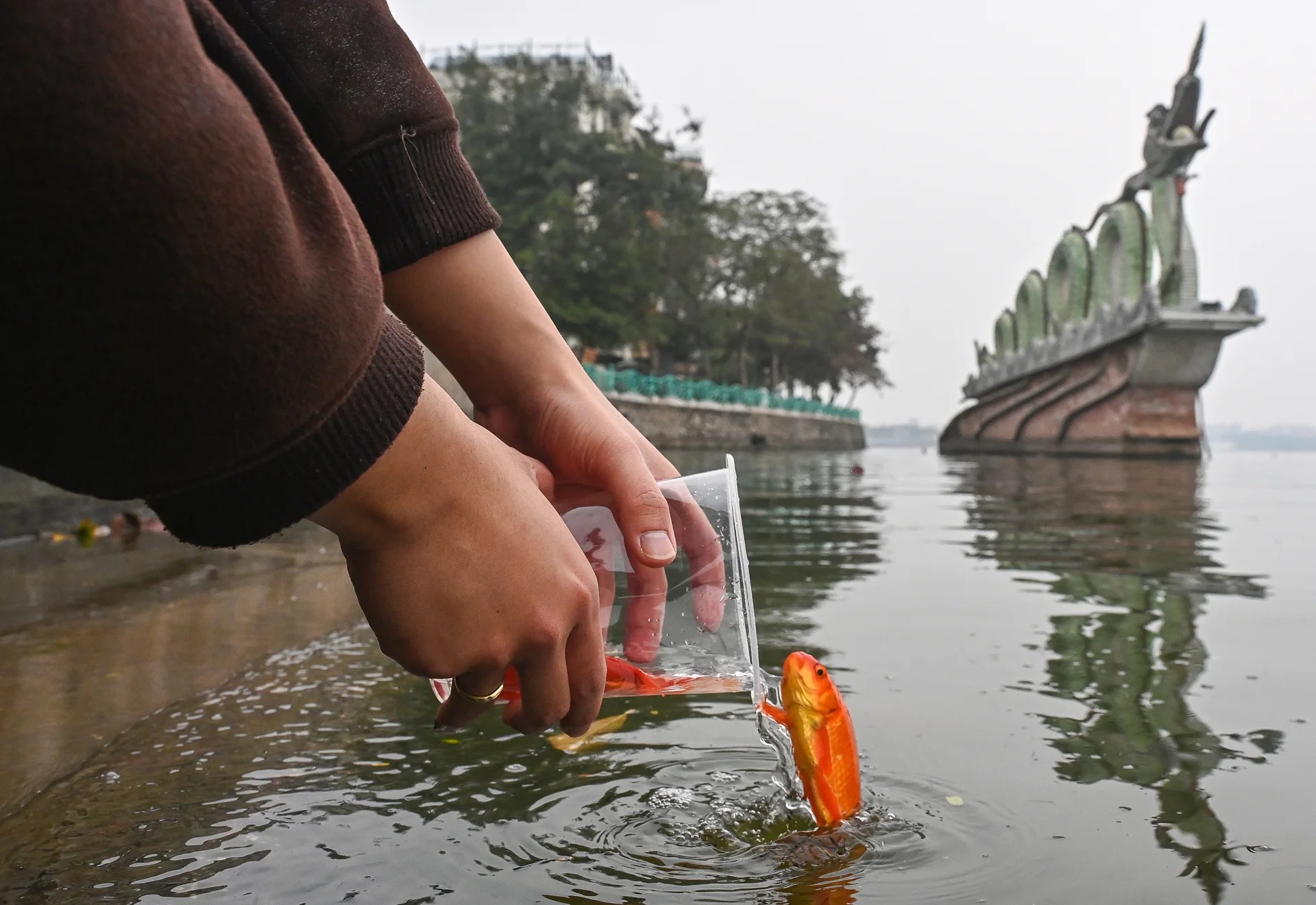 cach chon ca chep cung ong tao anh 5