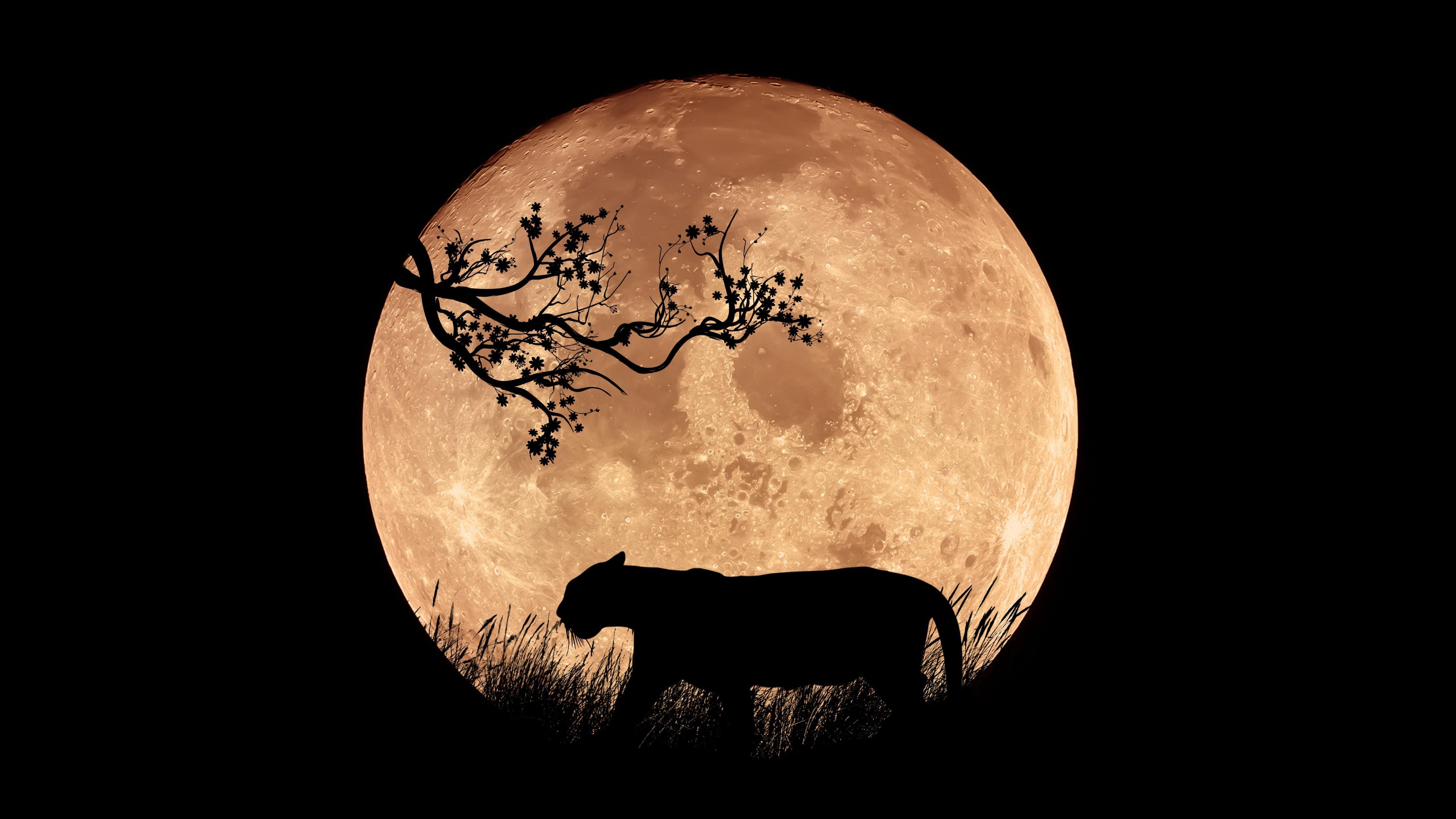 nam nham dan 2022 anh 3