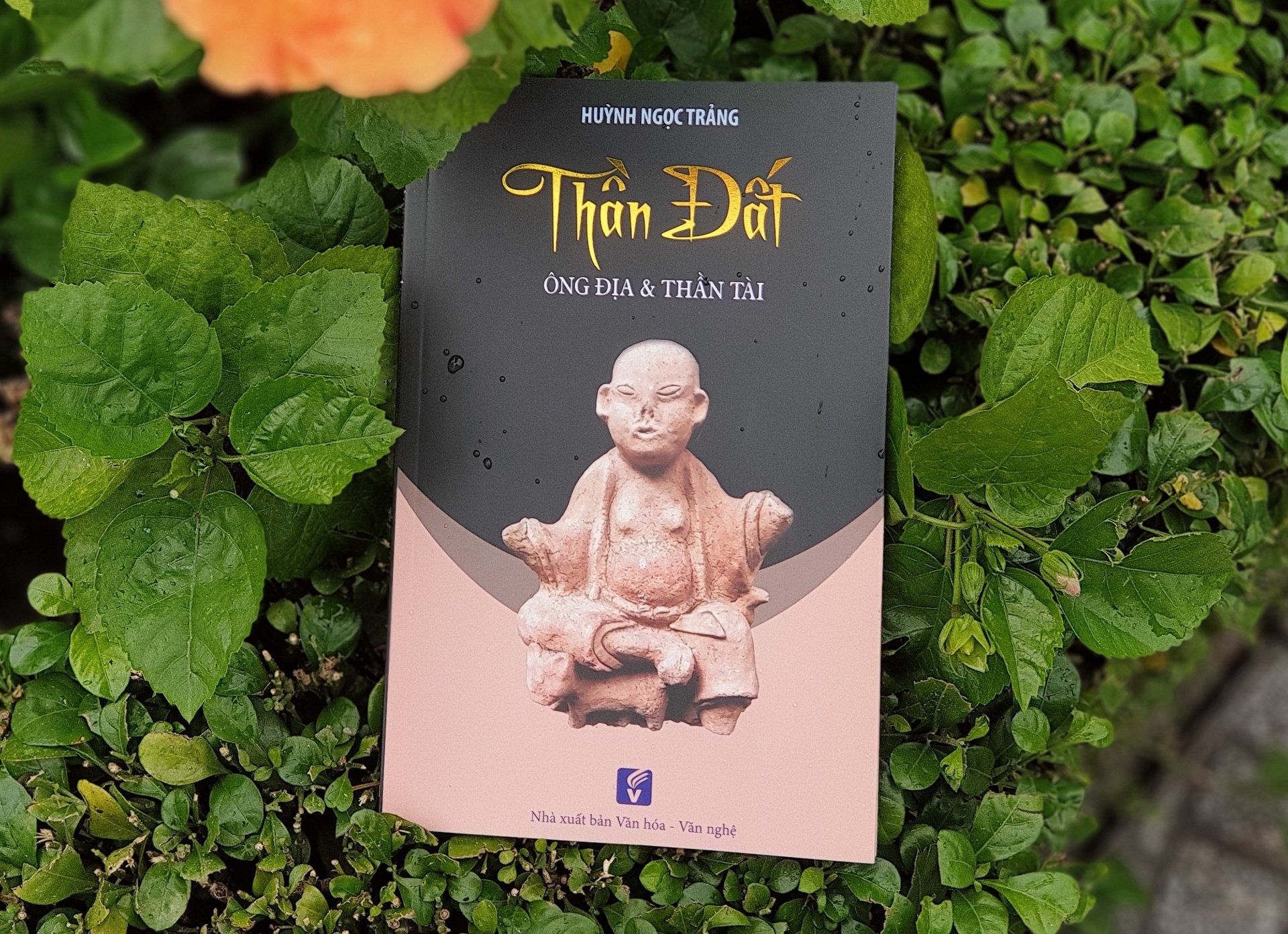 mua vang ngay via than tai anh 2