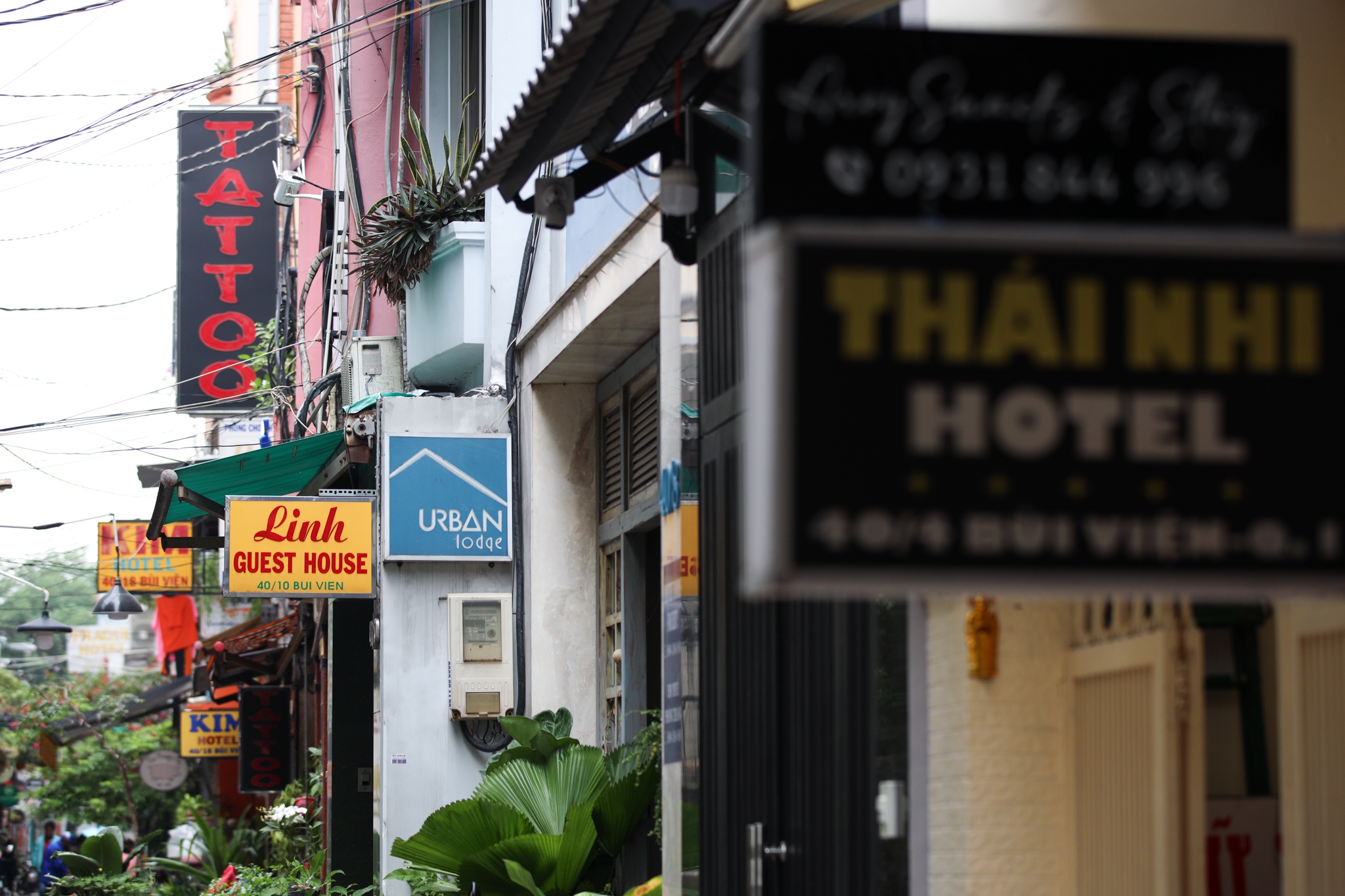 khach san bui vien cho thue dai han anh 2